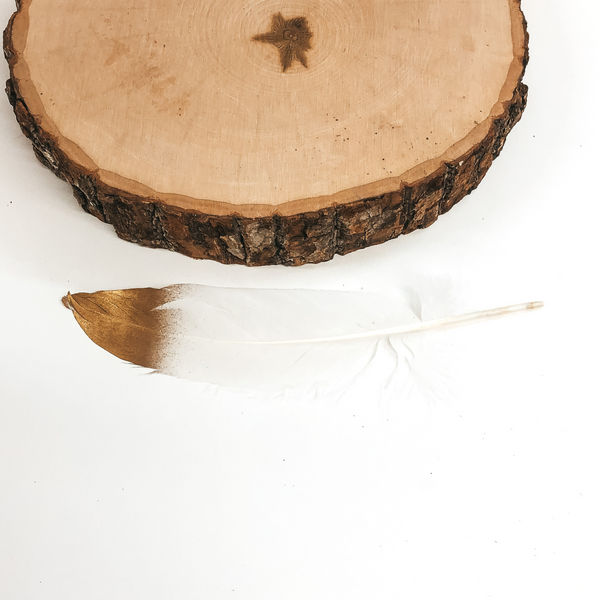 This is a white colored feather with a metallic gold tip. This feather is pictured on a white background and piece of wood at the top of the picture. 