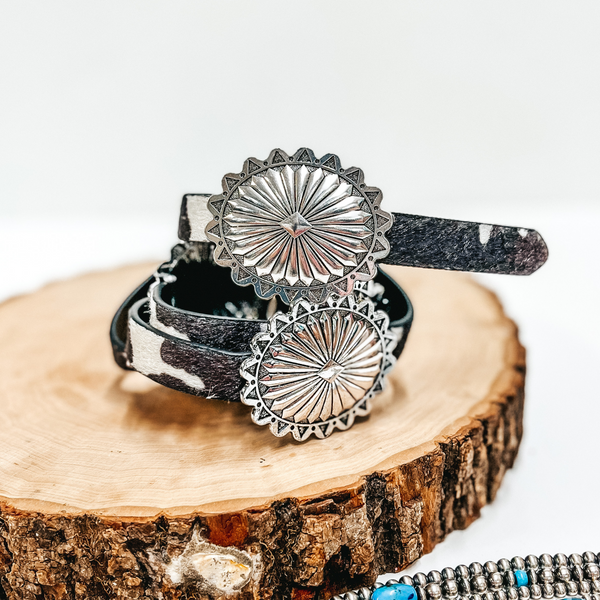 A cow print belt with adjustable silver conchos pictured on a wooden display. Pictured on white background with Navajo pearls.