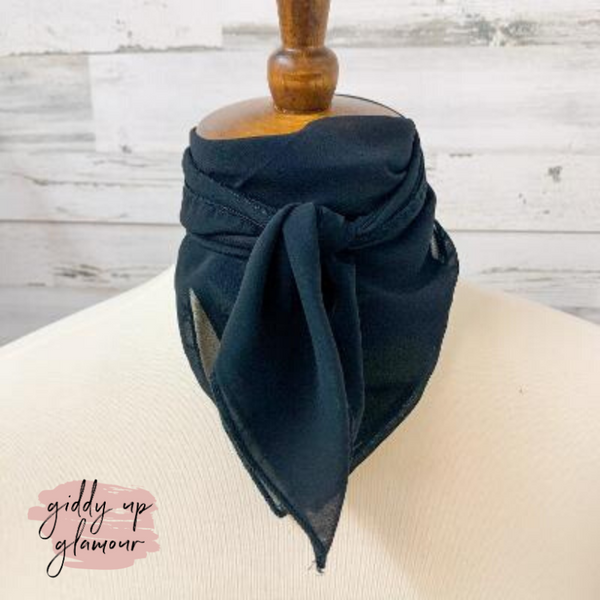Timeless Approach Sheer Scarf in Black